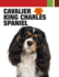 Cavalier King Charles Spaniel [With 2 Dvds]