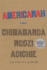 Americanah: a Novel (Thorndike Press Large Print Peer Picks)