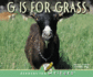 G is for Grass (Readers for Writers-Emergent)