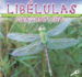 Libelulas: Dragonflies (Biblioteca Del Descubrimiento De Los Insectos/Insects Discovery Library) (Spanish Edition)