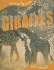 Giraffes (Qeb Animal Lives)
