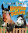 Horses and Ponies (Farmyard Friends)