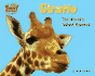 Giraffe: the World's Tallest Mammal