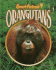 Orangutans (Smart Animals)