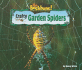 Crafty Garden Spiders (No Backbone! Spiders)