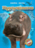 Hippopotamuses