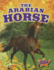 The Arabian Horse (Pilot Books: Horse Breed Roundup)