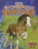 The Clydesdale Horse (Pilot Books: Horse Breed Roundup)