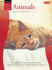 Oil & Acrylic: Animals: Learn to Paint Step By Step (How to Draw & Paint)