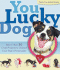 You Lucky Dog-More Than 30 Craft Projects to Unleash Your Pups Personality