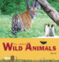 All About Wild Animals (Mack? S World of Wonder)
