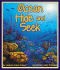 Ocean Hide and Seek (Arbordale Collection)