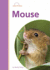 Mouse (Amicus Readers Level 2: Animal Life Cycles)