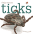 Ticks (Creepy Creatures)