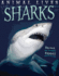 Sharks (Animal Lives)