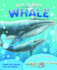 Build the Bones: Whale [With 3-D Model]