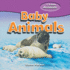 Baby Animals (I Love Animals)