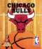 Chicago Bulls (on the Hardwood)