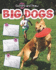 Big Dogs