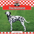 Dalmatians (Dogs)