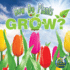 Rourke Educational Media How Do Plants Grow? (My Science Library)