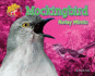 Mockingbird: Noisy Mimic (Animal Loudmouths)