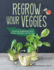 Regrow Your Veggies Growing Vegetables From Roots, Cuttings, and Scraps Companionhouse Books Sustainable Tips, Troubleshooting, Directions for Lettuce, Potatoes, Ginger, Scallions, Mango, More