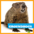 Groundhogs (Bullfrog Books: My First Animal Library)