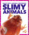 Slimy Animals (Pogo: Back Off! Animal Defenses)