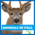 Animals in Fall (Bullfrog Books: What Happens in Fall? )