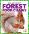 Forest Food Chains Who Eats What