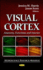 Visual Cortex: Anatomy, Functions & Injuries