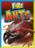 Fire Ants (Dangerous Bugs)