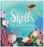 shells a pop up book of wonder