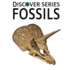 Fossils Discover Series Picture Book for Children