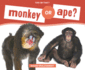 Monkey Or Ape? (This Or That? )