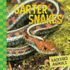 Garter Snakes (Backyard Animals)