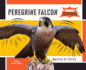 Peregrine Falcon: Master of Speed (Animal Superpowers)