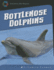 Bottlenose Dolphins (21st Century Skills Library: Exploring Our Oceans)