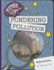 Pondering Pollution (Explorer Library: Science Explorer)