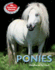 Ponies (My Favorite Horses)