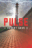 Pulse (National Security Thriller)