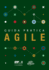 Agile Practice Guide (Italian) (Italian Edition)