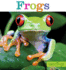 Seedlings: Frogs