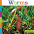 Worms (Seedlings)