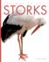 Amazing Animals: Storks