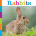Rabbits (Seedlings: Backyard Animals)