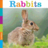 Rabbits