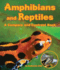 Amphibians and Reptiles (Compare and Contrast Book)