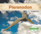 Pteranodon